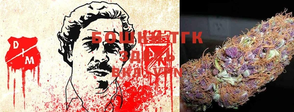 стаф Алексеевка