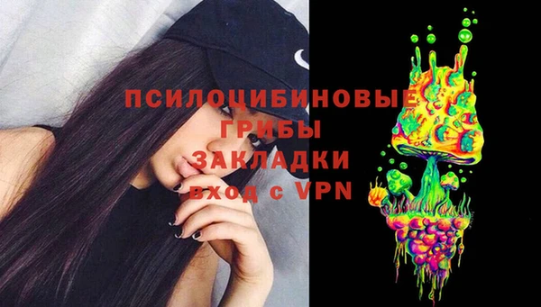 стаф Алексеевка