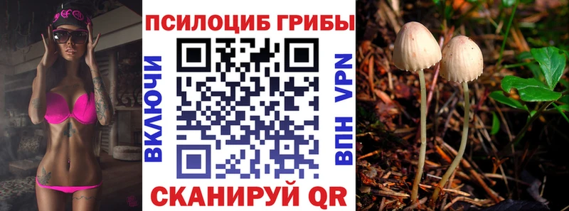 Псилоцибиновые грибы GOLDEN TEACHER Гаврилов Посад