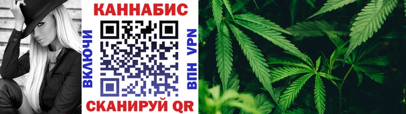 Конопля сатива  купить наркотик  Гаврилов Посад 